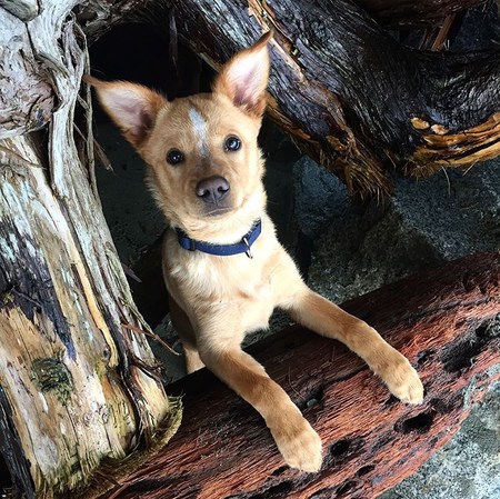 Entry image for River. Clicking this image will show a larger photo