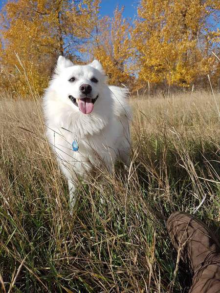 Entry image for Hero. Clicking this image will show a larger photo