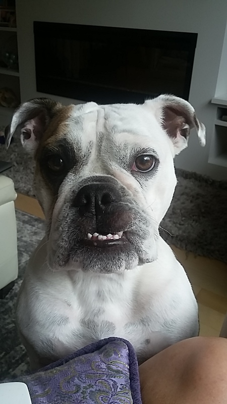 Entry image for India. Clicking this image will show a larger photo