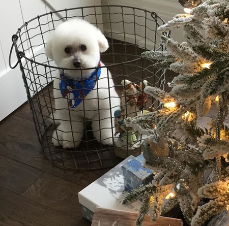 Entry image for Jack. Clicking this image will show a larger photo