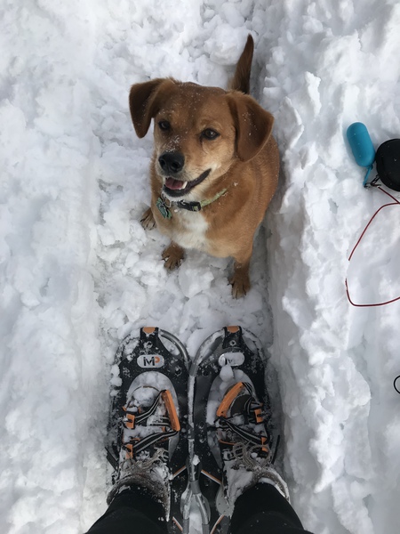 Entry image for Jesse James sawtell . Clicking this image will show a larger photo