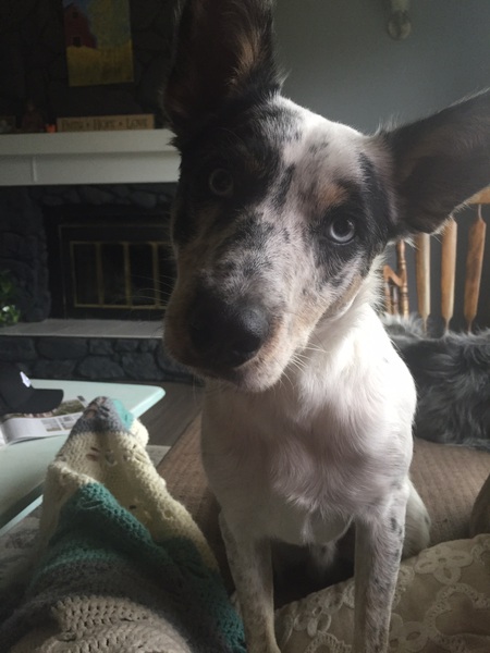 Entry image for Seven. Clicking this image will show a larger photo