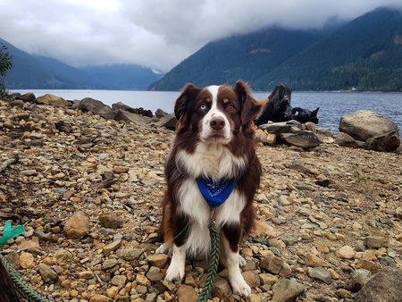 Entry image for Owen. Clicking this image will show a larger photo