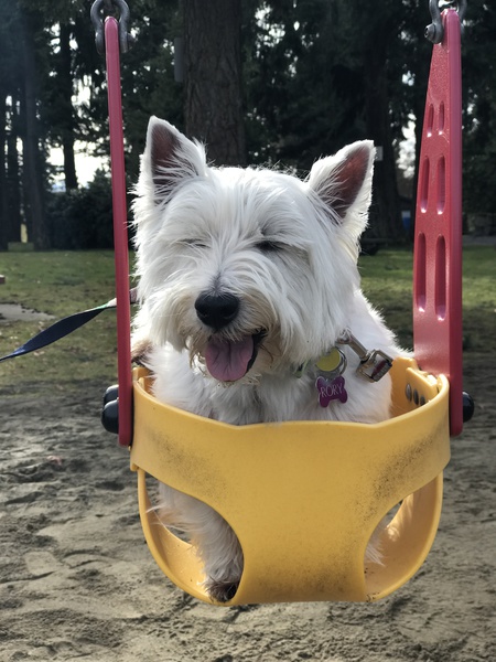 Entry image for Rory. Clicking this image will show a larger photo