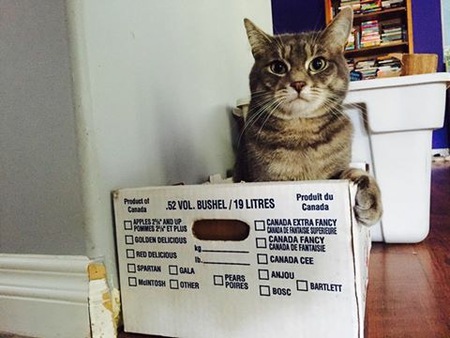 Entry image for Ezra. Clicking this image will show a larger photo