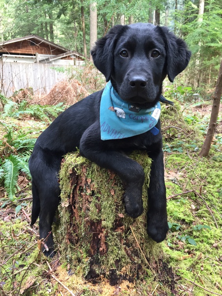 Entry image for Theodore. Clicking this image will show a larger photo