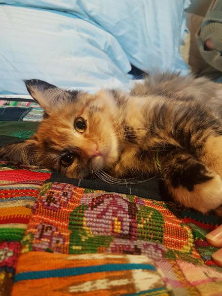 Entry image for Marble. Clicking this image will show a larger photo