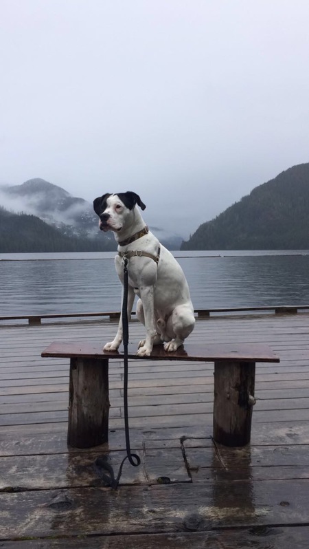 Entry image for Todd. Clicking this image will show a larger photo