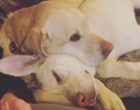 Entry image for Maddie / Mya. Clicking this image will show a larger photo