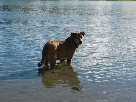 Entry image for Nika. Clicking this image will show a larger photo