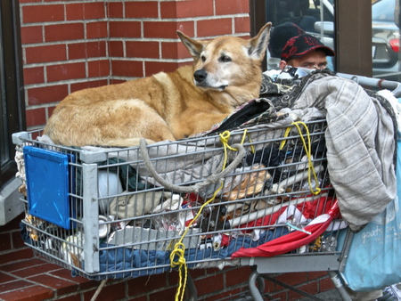 Entry image for Unknown. Clicking this image will show a larger photo