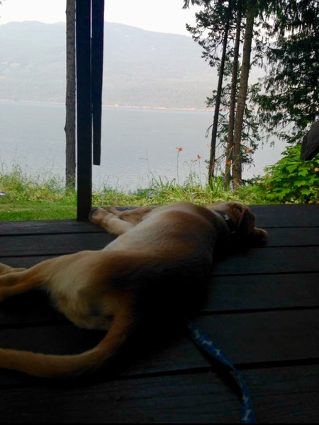 Entry image for Wilson. Clicking this image will show a larger photo