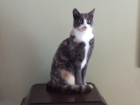 Entry image for Mila. Clicking this image will show a larger photo