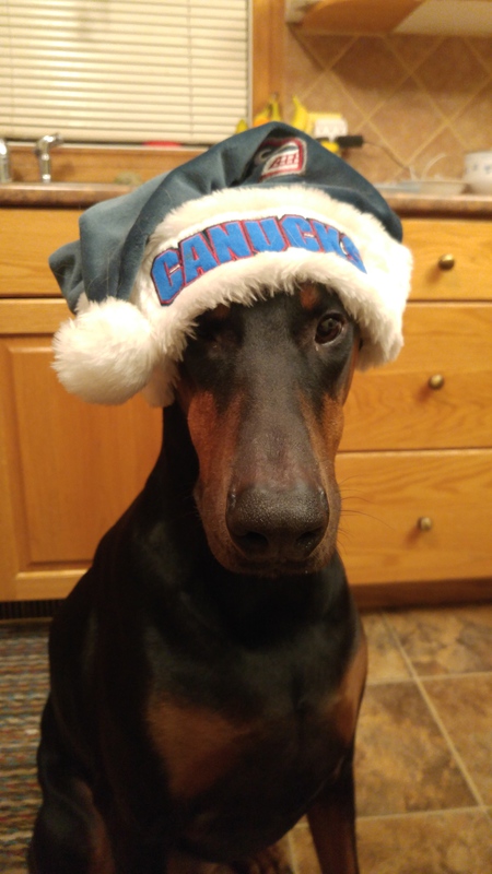 Entry image for Vinnie. Clicking this image will show a larger photo