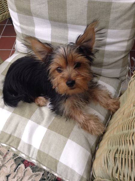 Entry image for Maui. Clicking this image will show a larger photo