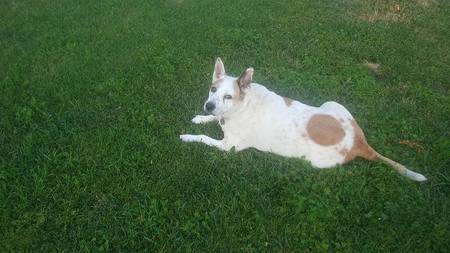 Entry image for Twist. Clicking this image will show a larger photo