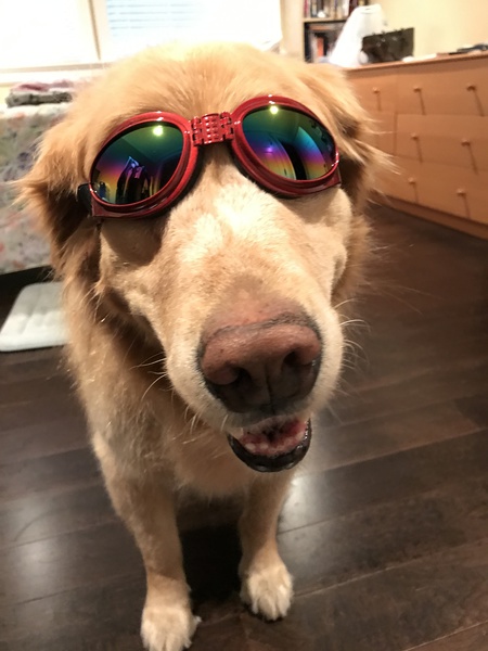 Entry image for Spencer. Clicking this image will show a larger photo