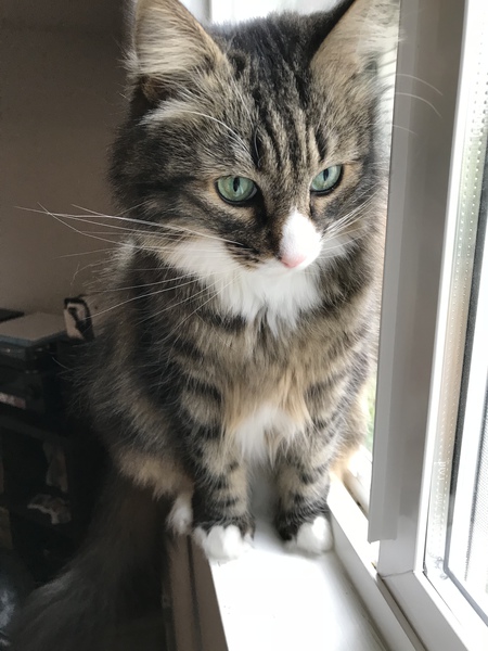 Entry image for Dolce. Clicking this image will show a larger photo