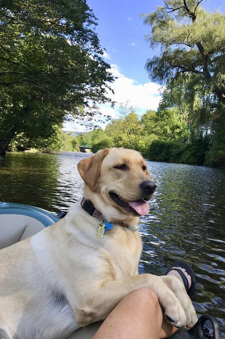 Entry image for Emma. Clicking this image will show a larger photo