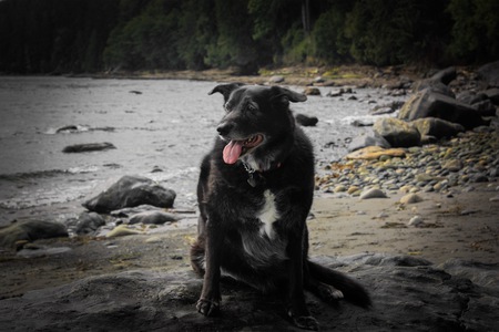 Entry image for Maya. Clicking this image will show a larger photo