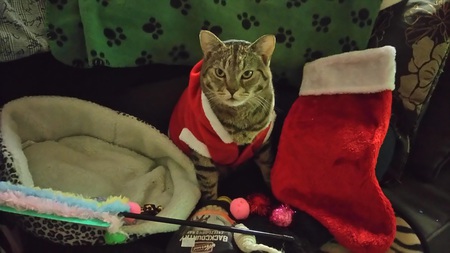 Entry image for Frederic. Clicking this image will show a larger photo