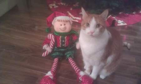 Entry image for Oliver. Clicking this image will show a larger photo