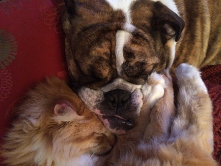 Entry image for Astro & Jimmy. Clicking this image will show a larger photo