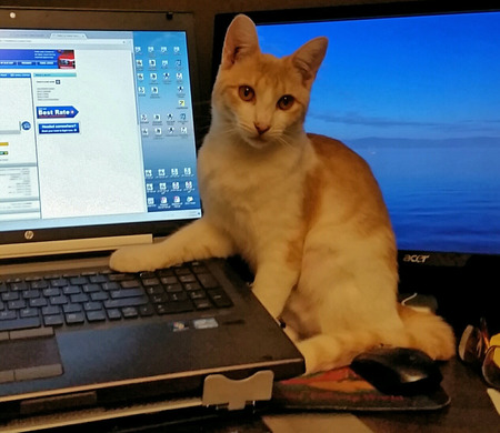 Entry image for Emmie. Clicking this image will show a larger photo