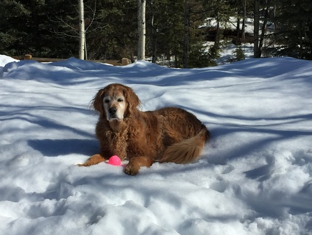 Entry image for Jake. Clicking this image will show a larger photo