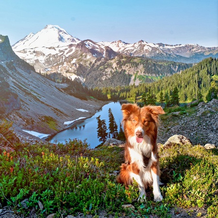 Entry image for River. Clicking this image will show a larger photo