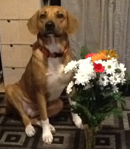 Entry image for Camilla (Cammy). Clicking this image will show a larger photo