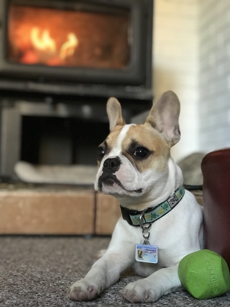 Entry image for Wonton. Clicking this image will show a larger photo