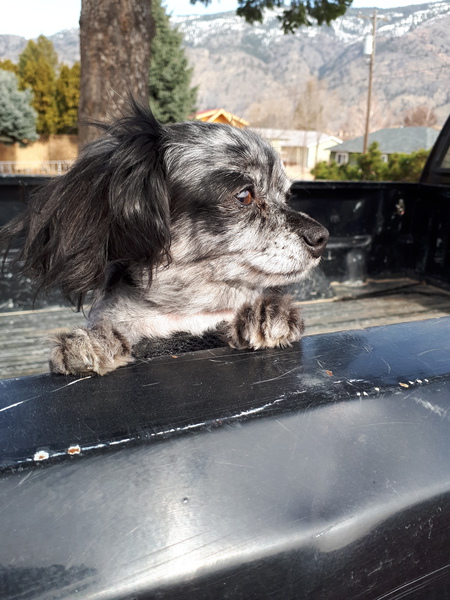 Entry image for Marbles . Clicking this image will show a larger photo