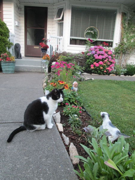 Entry image for Sweety Pie. Clicking this image will show a larger photo