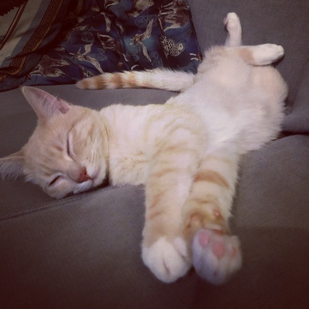 Entry image for Hurley. Clicking this image will show a larger photo