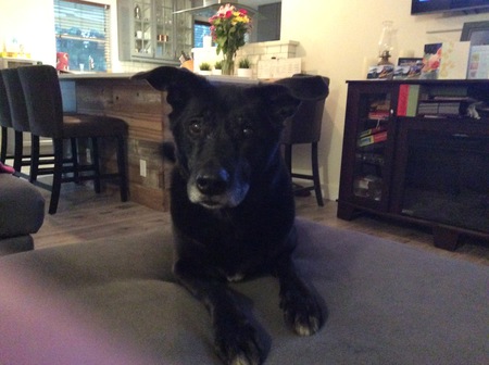 Entry image for Reef. Clicking this image will show a larger photo