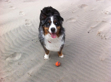 Entry image for Em. Clicking this image will show a larger photo