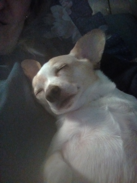 Entry image for Liam. Clicking this image will show a larger photo