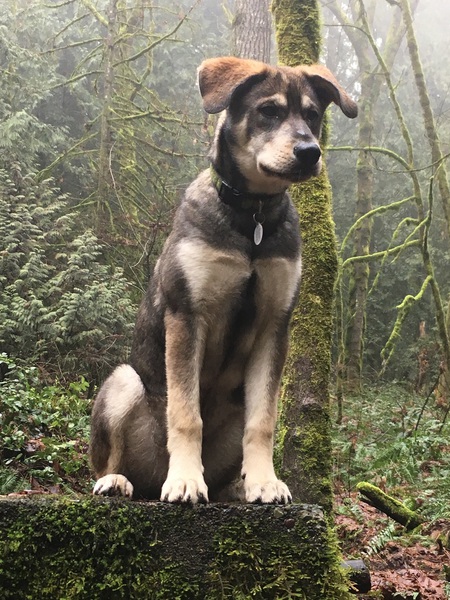 Entry image for Jake. Clicking this image will show a larger photo