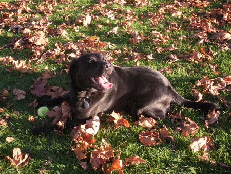 Entry image for Kyah. Clicking this image will show a larger photo