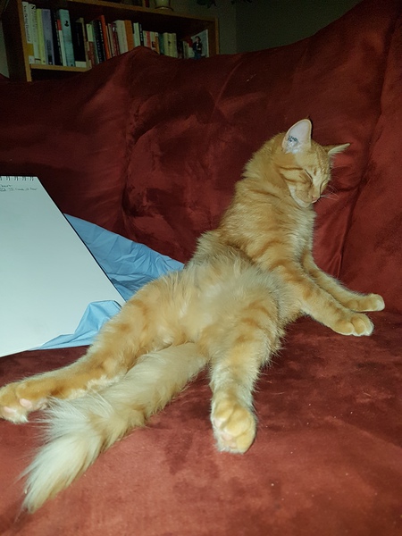 Entry image for Andrew . Clicking this image will show a larger photo