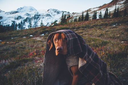 Entry image for Heulyn. Clicking this image will show a larger photo