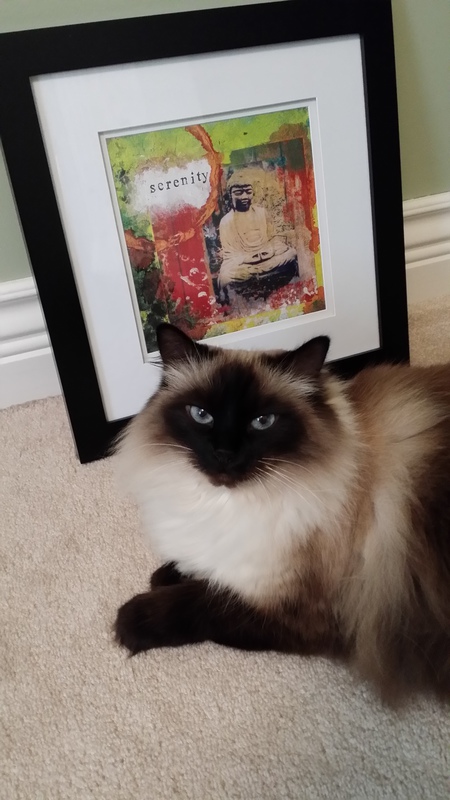 Entry image for Lily. Clicking this image will show a larger photo