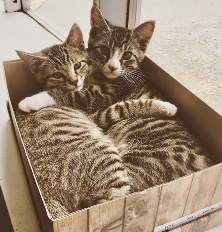 Entry image for Bob and Doug. Clicking this image will show a larger photo