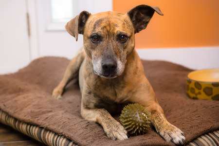 Entry image for Mya. Clicking this image will show a larger photo