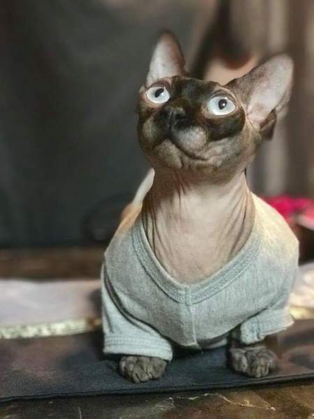 Entry image for Eddie. Clicking this image will show a larger photo