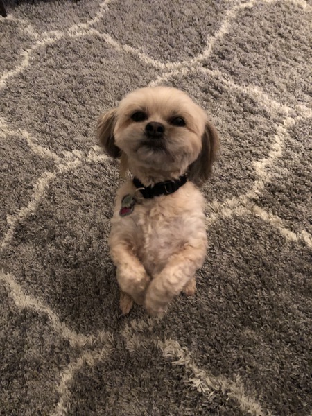 Entry image for Susy. Clicking this image will show a larger photo