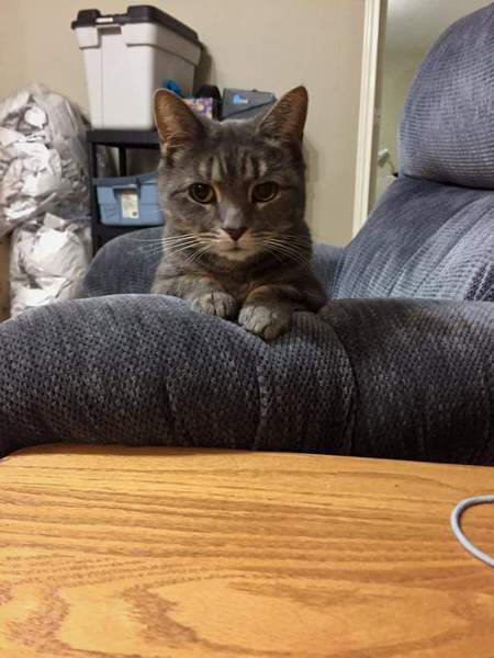 Entry image for Aya. Clicking this image will show a larger photo