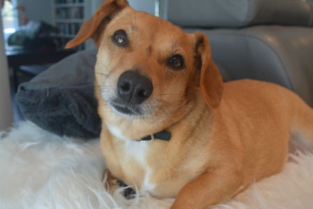 Entry image for Blossom. Clicking this image will show a larger photo