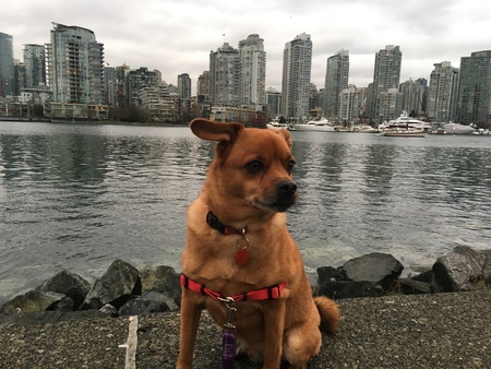 Entry image for Breezy. Clicking this image will show a larger photo